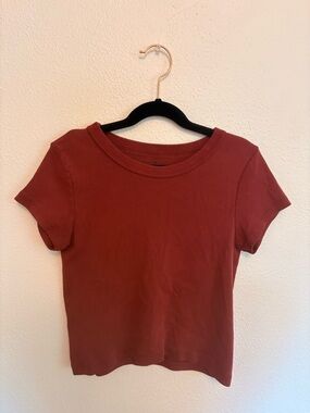 Brandy Melville Rust Short Sleeve Crewneck Crop Top